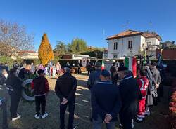 4 novembre Gallarate