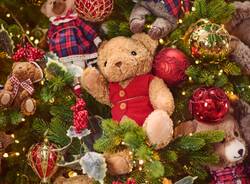 Agricola, un viaggio nella magia del Natale