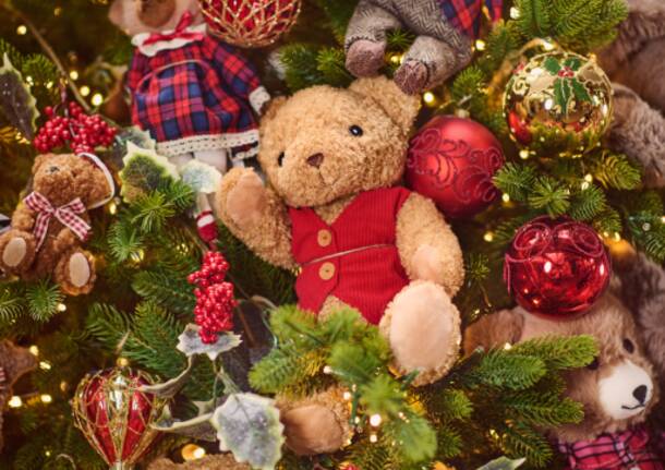 Agricola, un viaggio nella magia del Natale