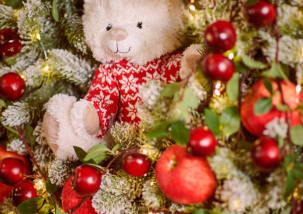 Agricola, un viaggio nella magia del Natale