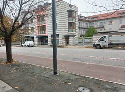 alberi tagliati gallarate