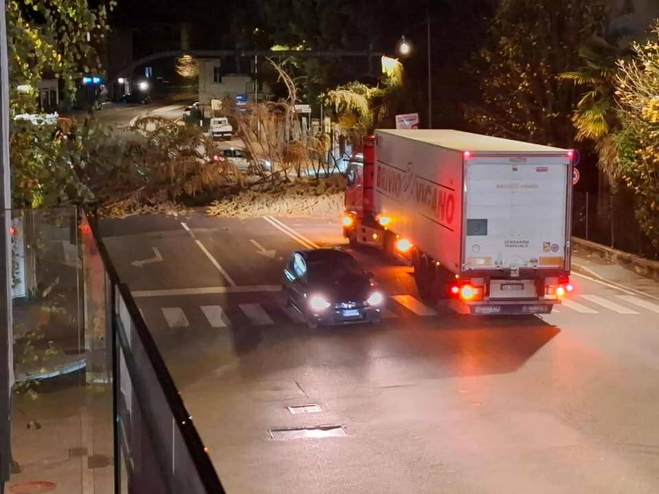 Albero caduto in via Sanvito Silvestro