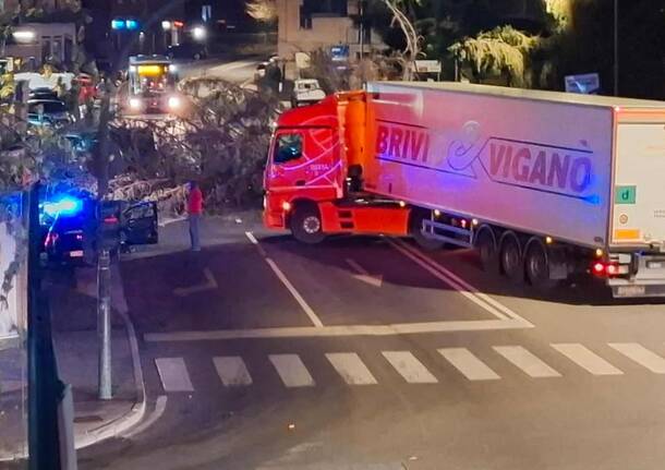 Albero caduto in via Sanvito Silvestro