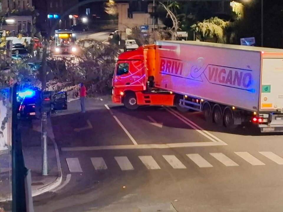 Albero caduto in via Sanvito Silvestro