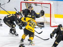 Aosta Mastini Varese hockey