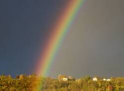 Arcobaleno