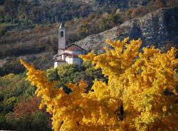Autunno a Caravate
