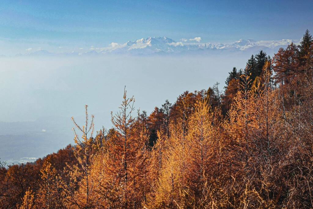 Campo dei Fiori in autunno foto di Natalya Vavilova