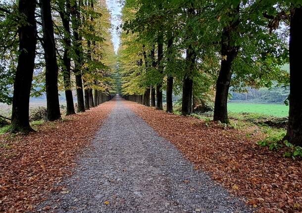 Viale della Quassa, Ispra