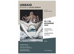 UNSAID  - ALICE ZANCHI