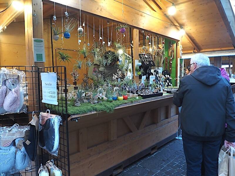 Il mercatino del Trentino a Gallarate