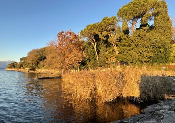 Il pomeriggio brilla di luce!