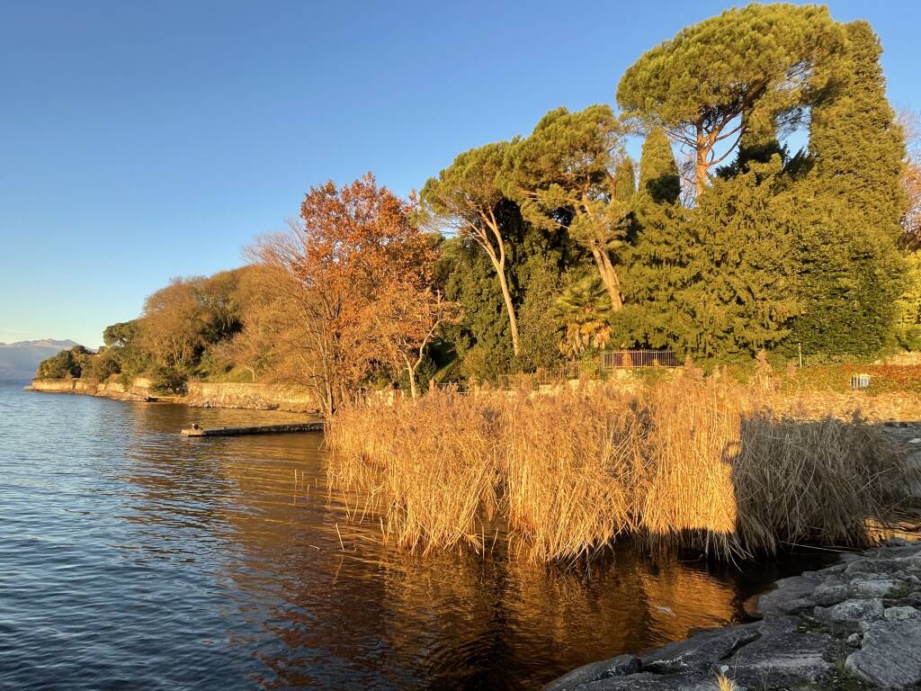 Il pomeriggio brilla di luce!