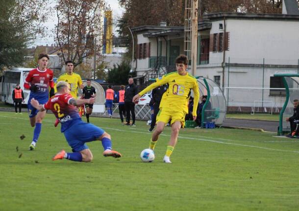 castellanzese foto lucchi