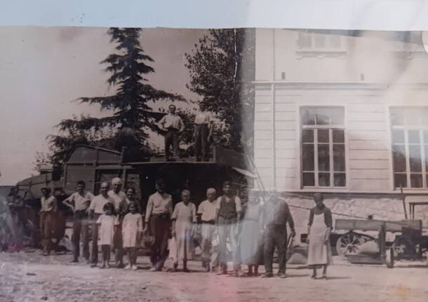 Prove di trazione del cedro a Biandronno