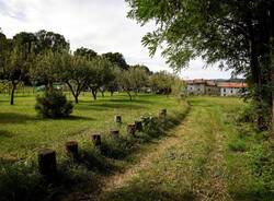 ecomuseo piano viscontee