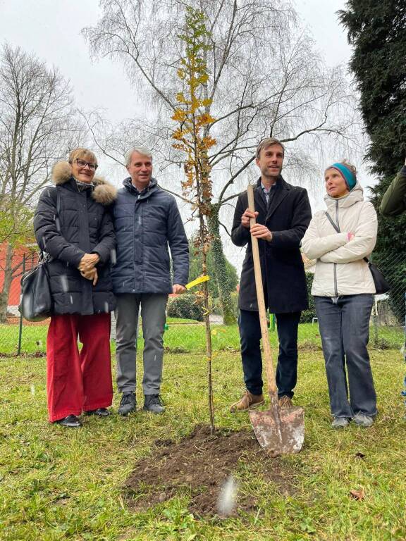 festa dell'albero varese 2025