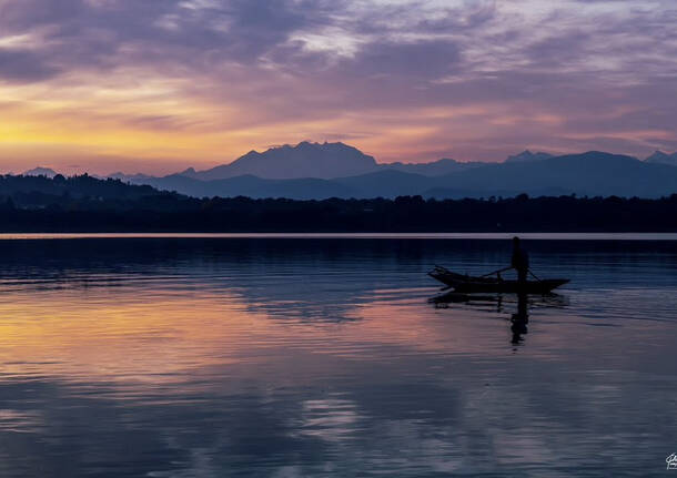 foto del giorno 11 novembre 2025 lago cazzago brabbia | foto Elena Impe