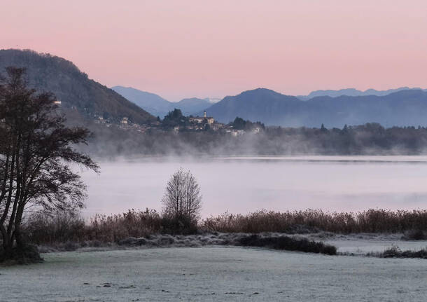 foto del giorno 25 novembre 2025 lago di comabbio | simone salvagno