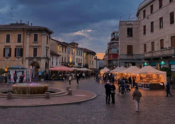 gallarate nadia rossi