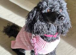 Generico 03 Nov 2025