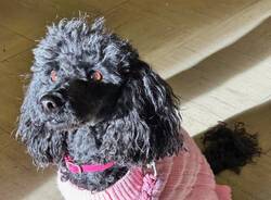 Generico 03 Nov 2025