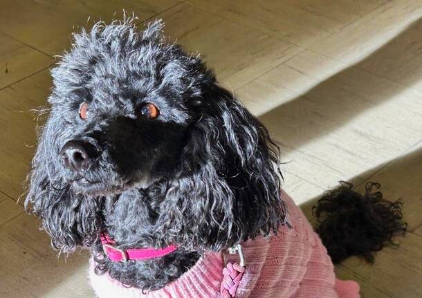 Generico 03 Nov 2025