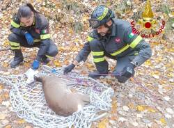 Generico 03 Nov 2025