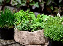 Generico 10 Nov 2025