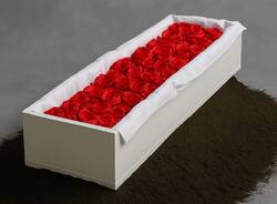 Generico 10 Nov 2025