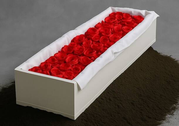 Generico 10 Nov 2025