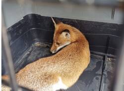 Generico 10 Nov 2025