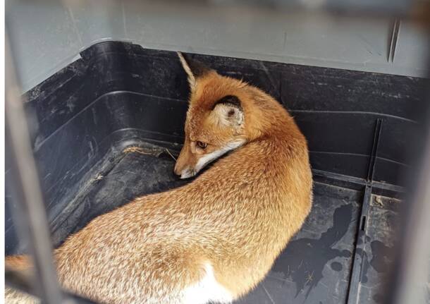 Generico 10 Nov 2025