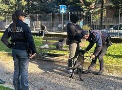 Generico 10 Nov 2025