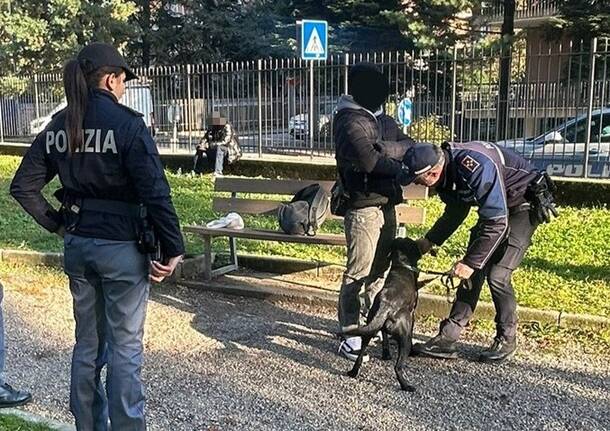 Generico 10 Nov 2025