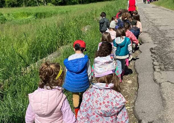 Generico 10 Nov 2025