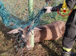 Generico 10 Nov 2025