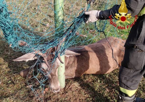 Generico 10 Nov 2025