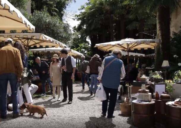 Generico 17 Nov 2025