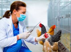 Generico 17 Nov 2025