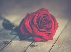 Generico 17 Nov 2025