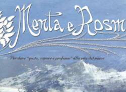 Generico 17 Nov 2025