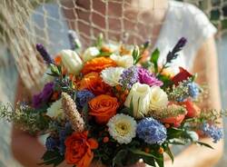 Generico 17 Nov 2025