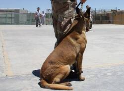 Generico 17 Nov 2025