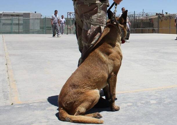 Generico 17 Nov 2025