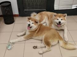 Generico 17 Nov 2025