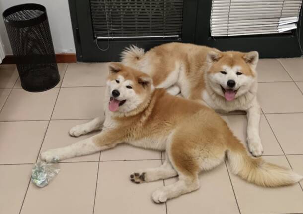 Generico 17 Nov 2025