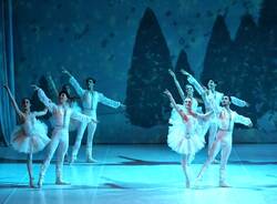 Generico 17 Nov 2025