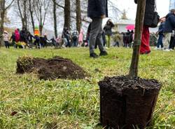 Generico 17 Nov 2025