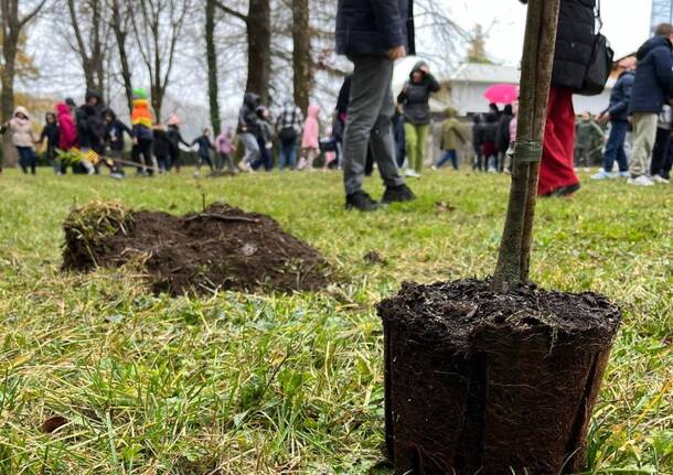 Generico 17 Nov 2025